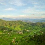 A scenic aerial view of lush green hills and terraced fields in Uttarakhand, India, perfect for nature and travel enthusiasts.